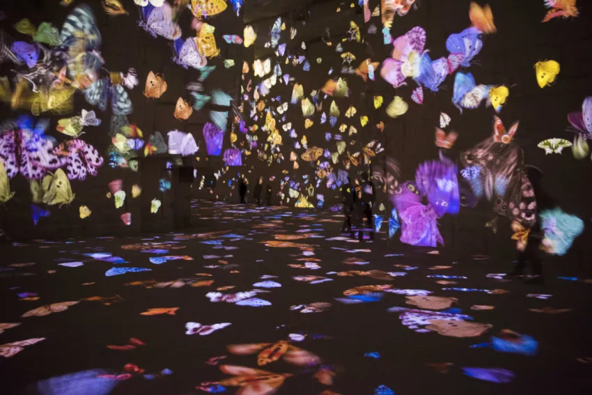 © Culturespaces / E. Venturelli © Culturespaces / E. Venturelli