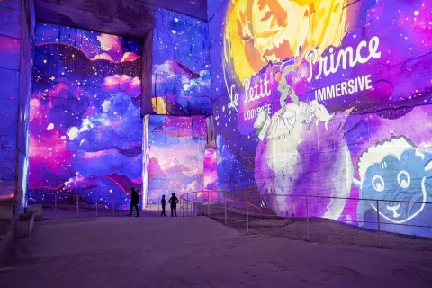 projection petit prince carrières