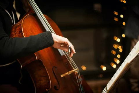 violoncelle carrières concert