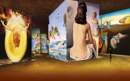 Teaser de l'exposition Dalí, l'énigme sans fin (2020)