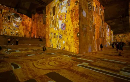 Teaser de l'exposition Klimt et Vienne, un siècle d'or et de couleurs (2014)